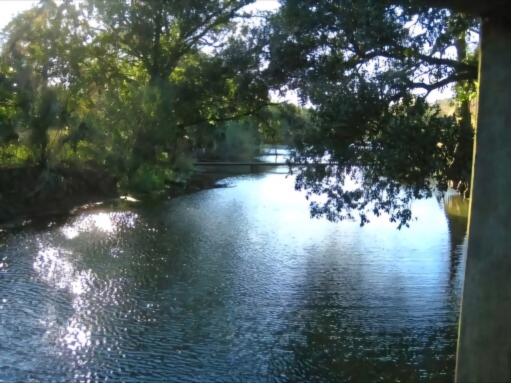 Peaceful river through trees