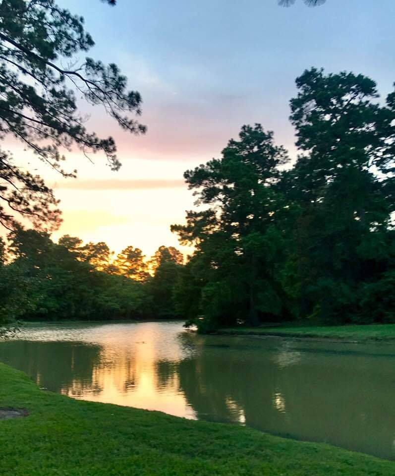 Sunset over a peaceful pond